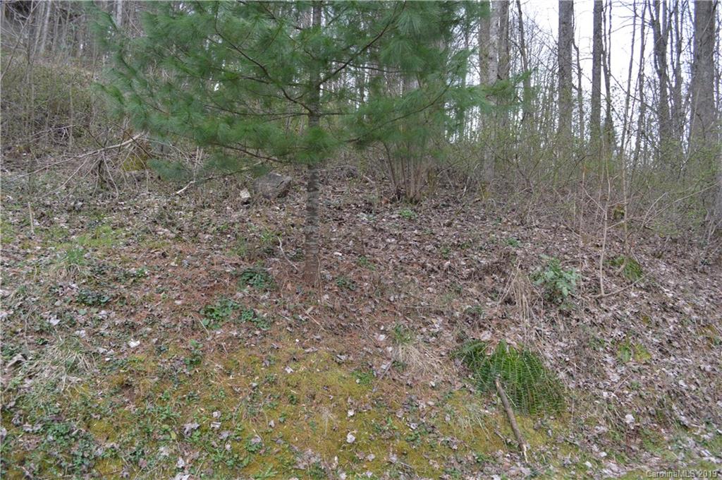 3463 Dark Ridge Road Sylva, NC 28779 - Photo 24 of 36 Gallery Image 24