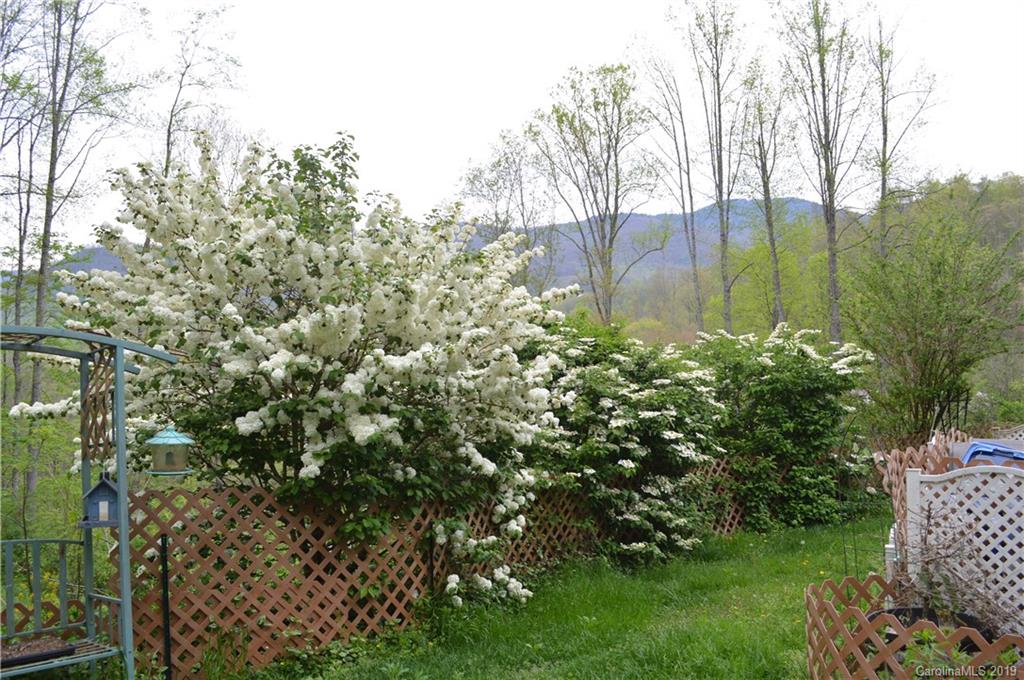 3463 Dark Ridge Road Sylva, NC 28779 - Photo 25 of 36 Gallery Image 25