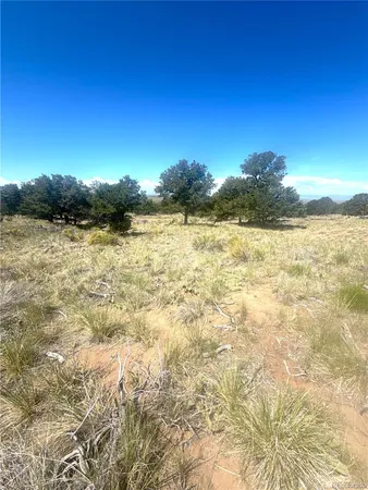 $49,000 | 4469 Greenview Court, Crestone, CO 81131
