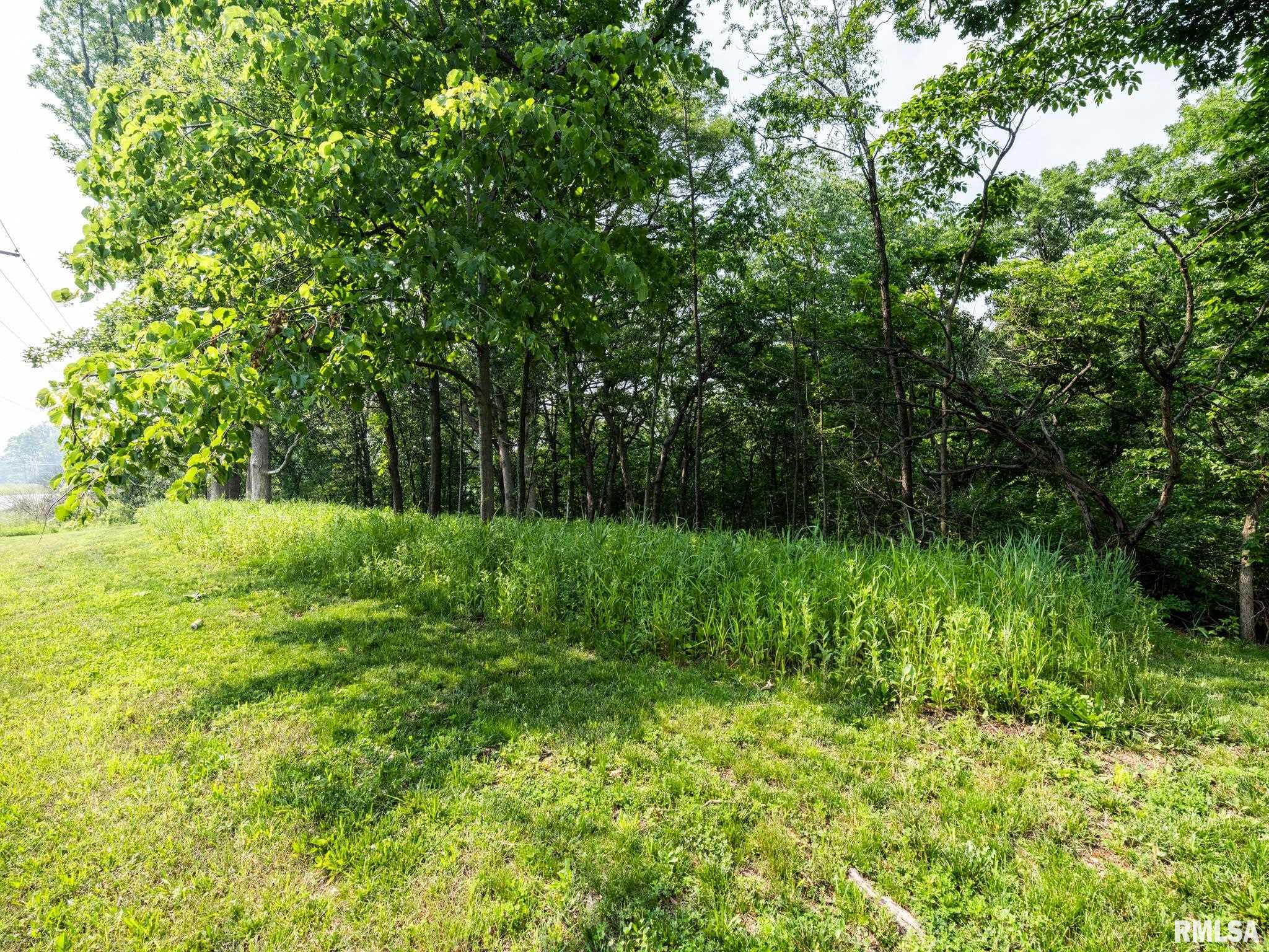 3041 Zion Oaks Road Pekin, IL 61554 - Photo 13 of 26