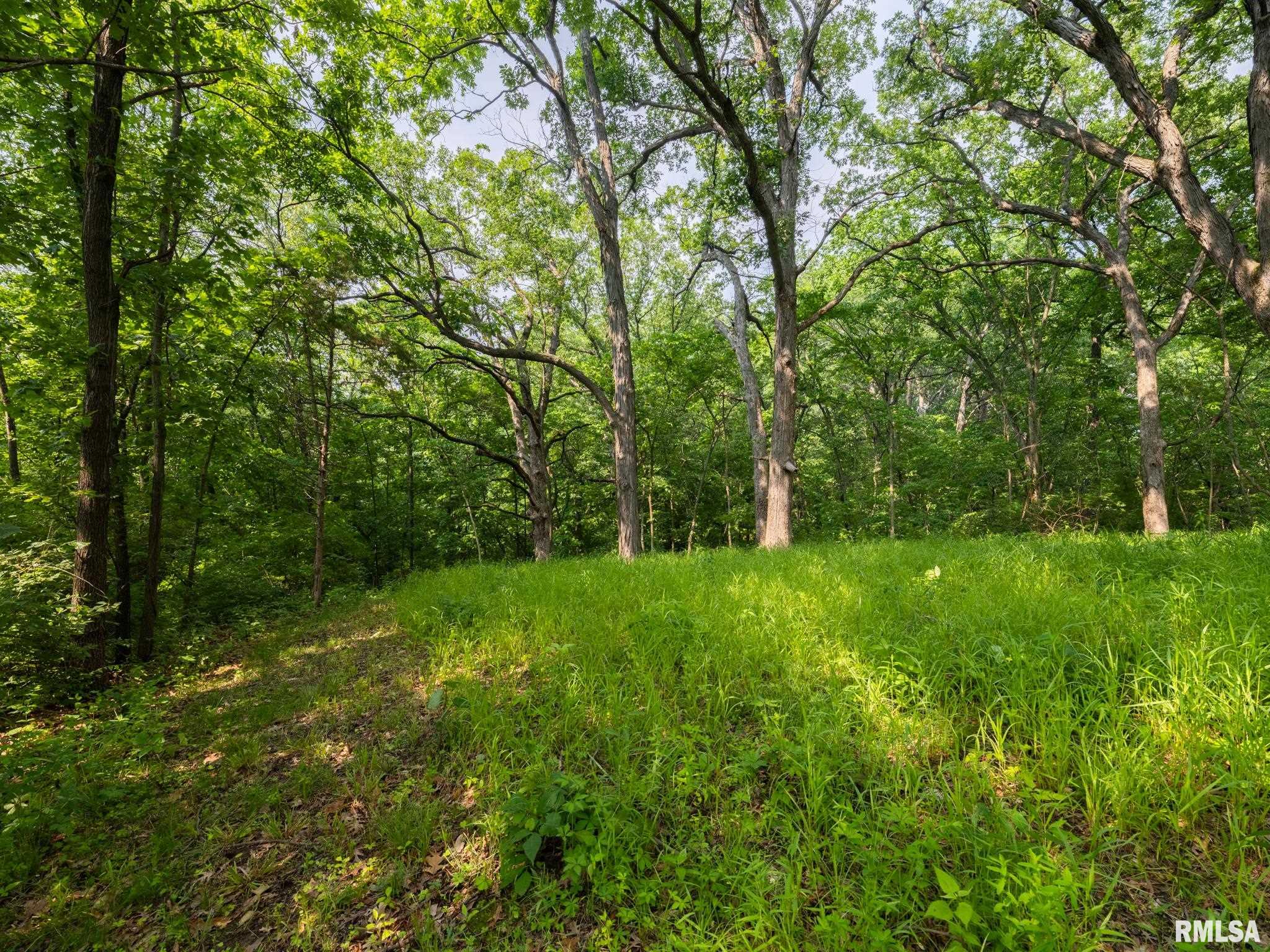 3041 Zion Oaks Road Pekin, IL 61554 - Photo 14 of 26