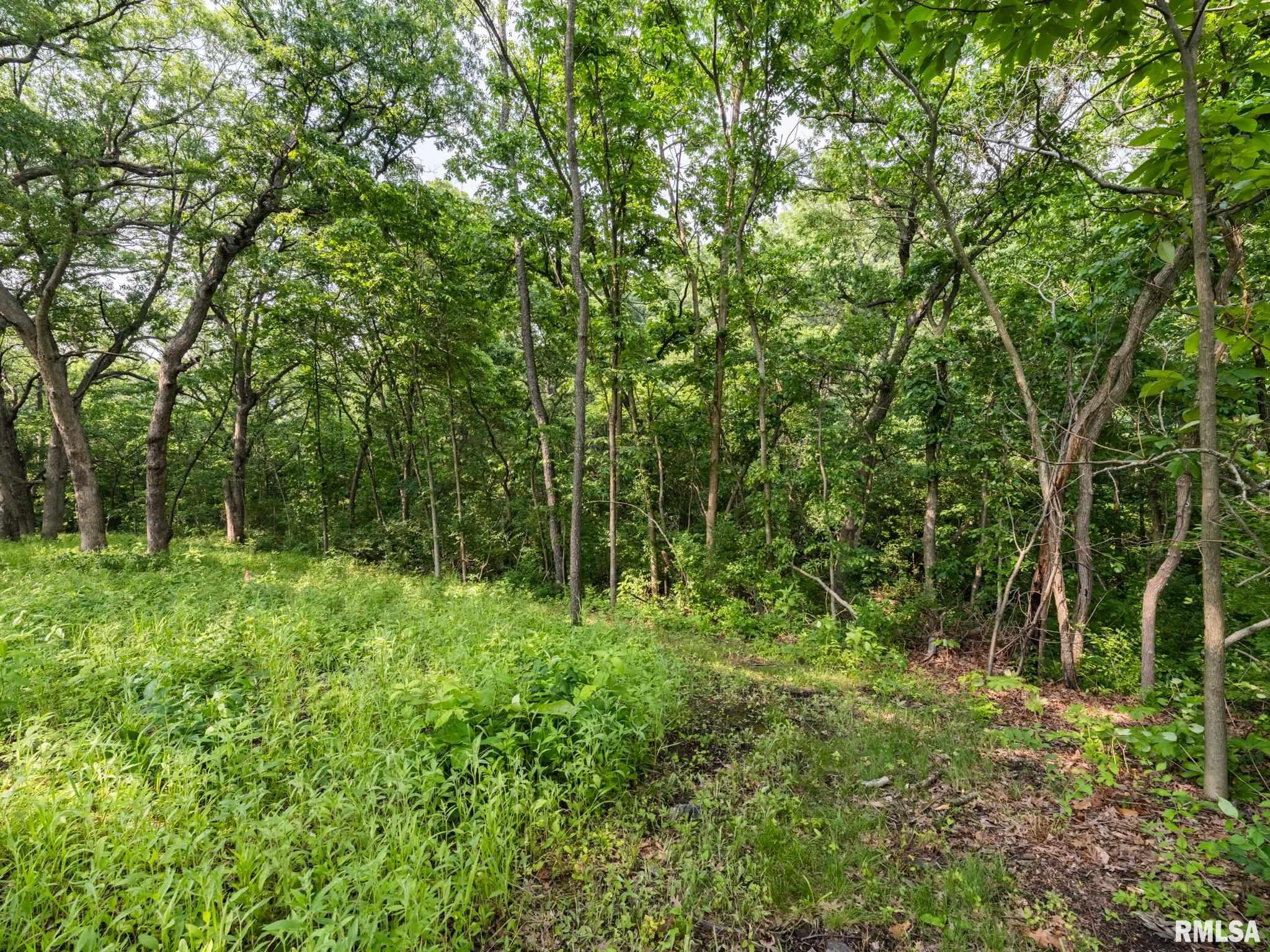 3041 Zion Oaks Road Pekin, IL 61554 - Photo 26 of 26