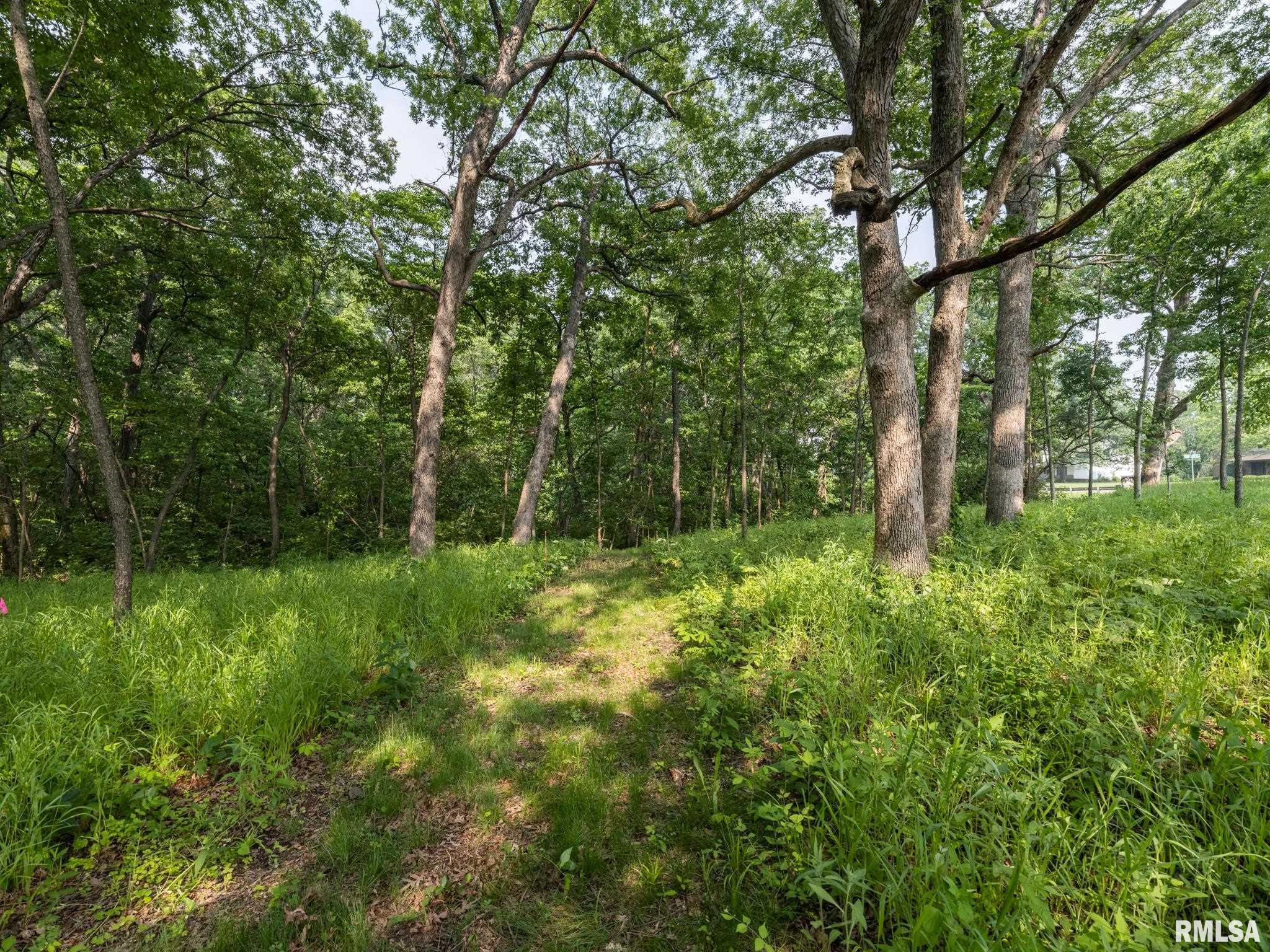 3041 Zion Oaks Road Pekin, IL 61554 - Photo 6 of 26
