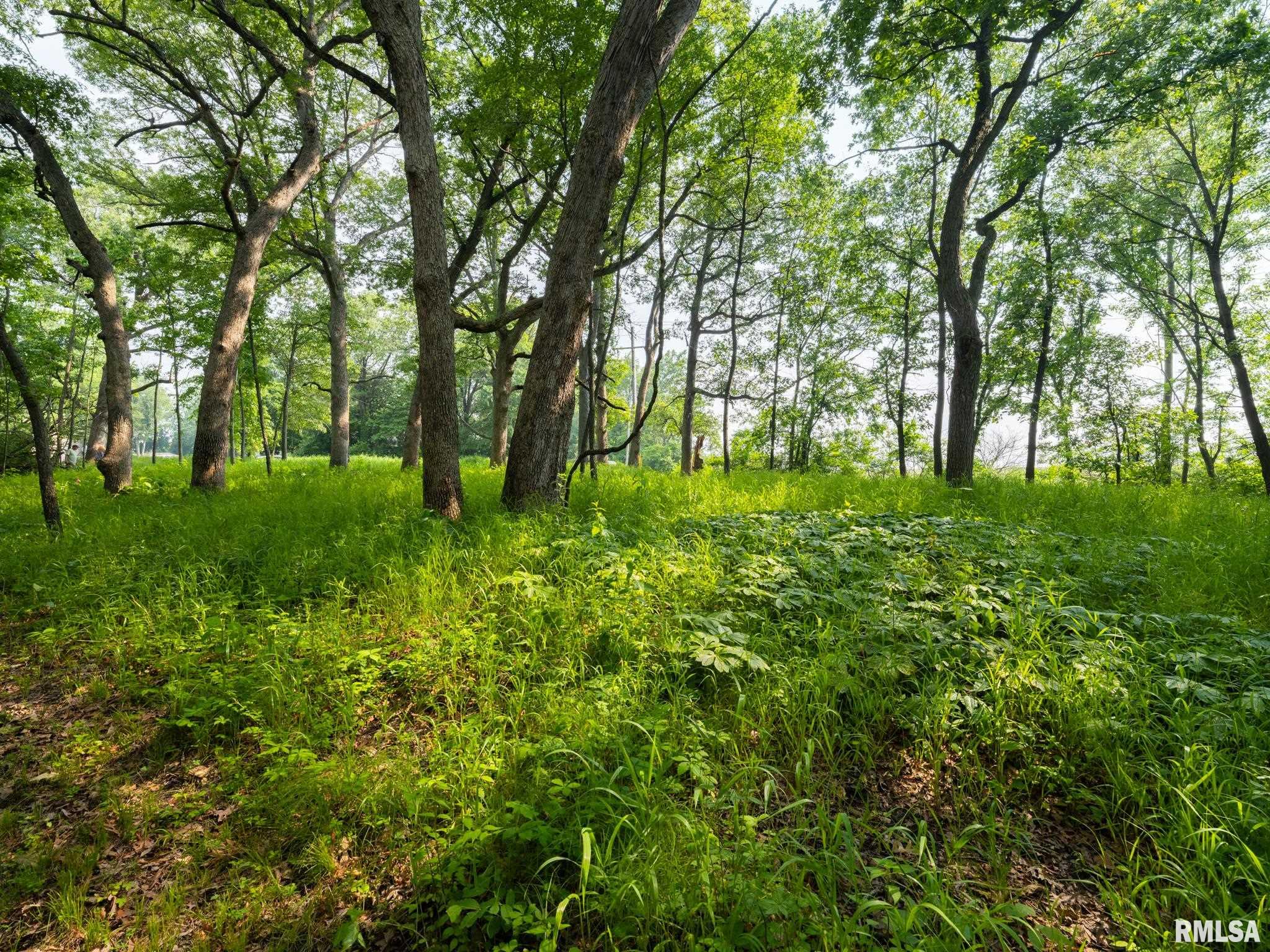 3041 Zion Oaks Road Pekin, IL 61554 - Photo 7 of 26