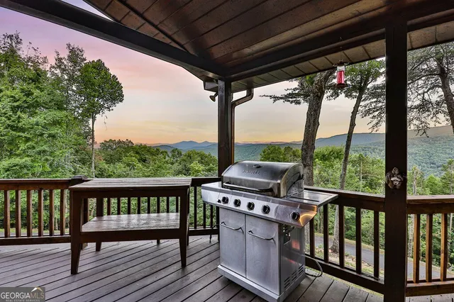 $1,239,000 | 175 Cochise Road, Unit 19, Cherry Log, GA 30522