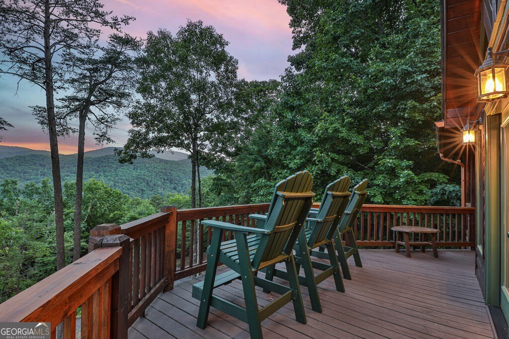 175 Cochise Road, Unit 19 Cherry Log, GA 30522 - Photo 52 of 89