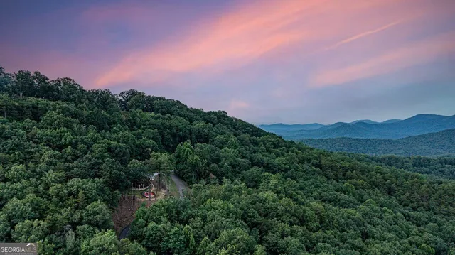 $1,239,000 | 175 Cochise Road, Unit 19, Cherry Log, GA 30522