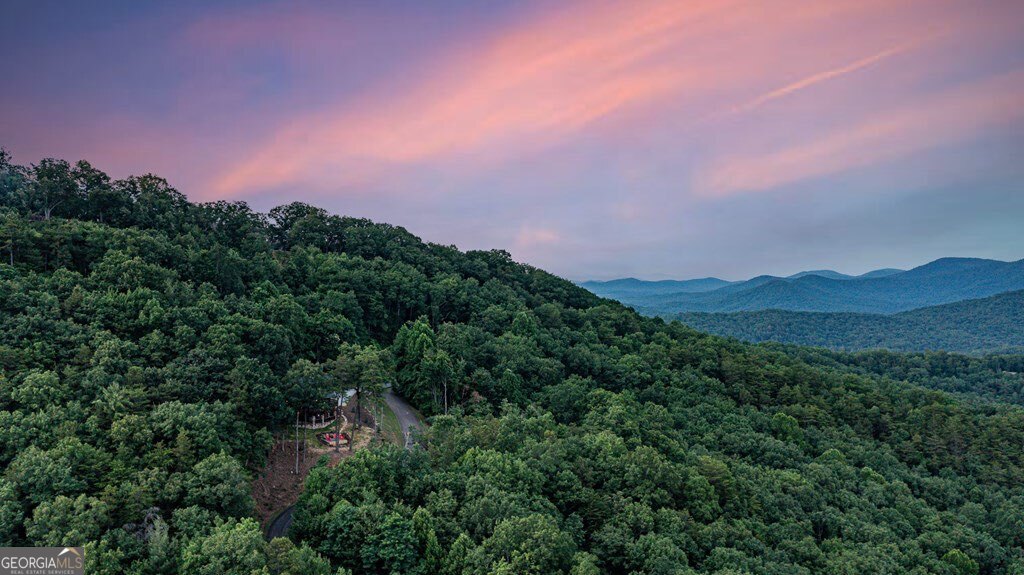 175 Cochise Road, Unit 19 Cherry Log, GA 30522 - Photo 57 of 89