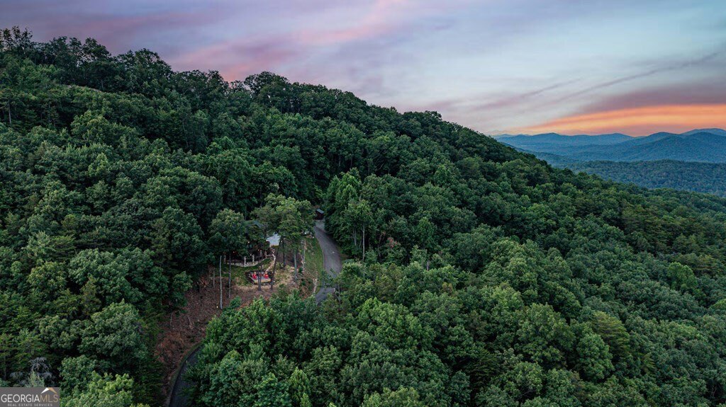 175 Cochise Road, Unit 19 Cherry Log, GA 30522 - Photo 58 of 89 an aerial view of a houses with outdoor space and trees all around