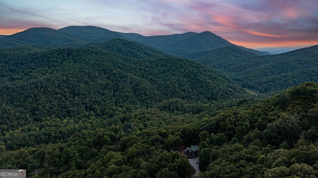 175 Cochise Road, Unit 19 Cherry Log, GA 30522 - Photo 59 of 89 a view of a mountain range with lush green forest
