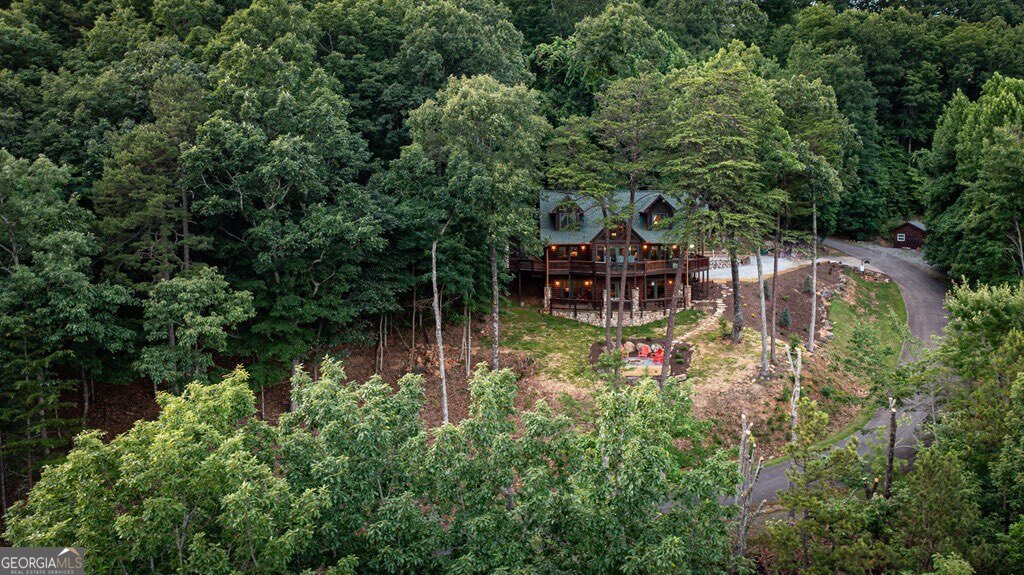 175 Cochise Road, Unit 19 Cherry Log, GA 30522 - Photo 62 of 89