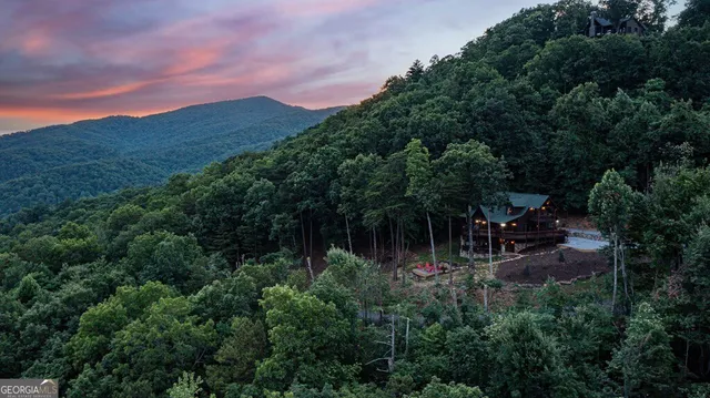 $1,239,000 | 175 Cochise Road, Unit 19, Cherry Log, GA 30522