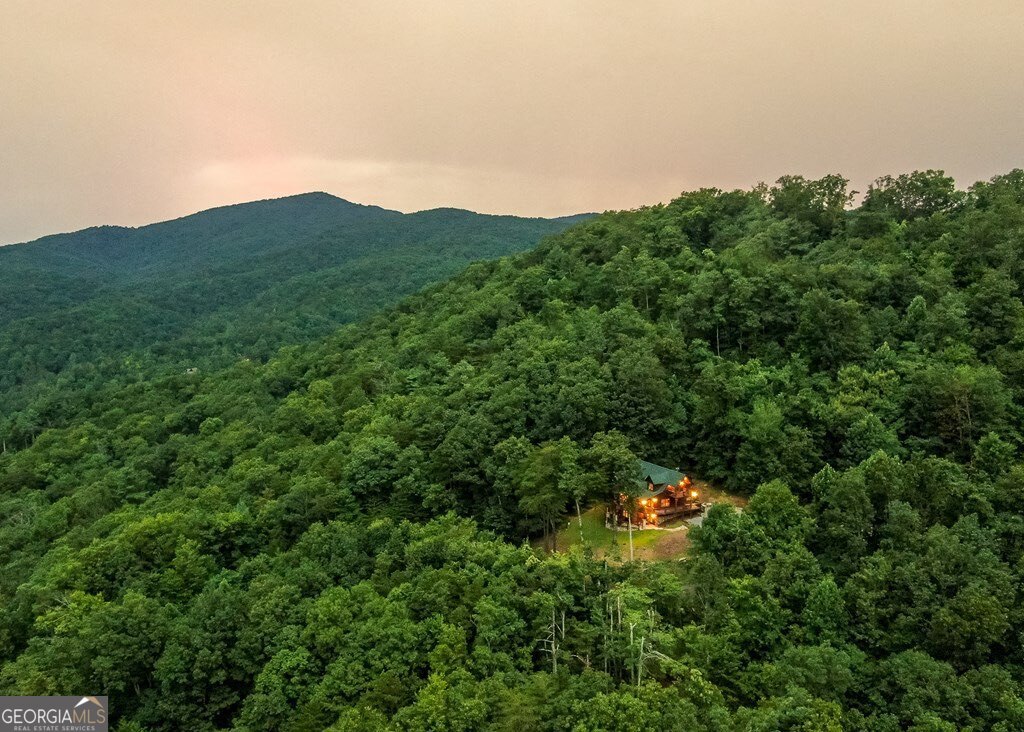 175 Cochise Road, Unit 19 Cherry Log, GA 30522 - Photo 87 of 89