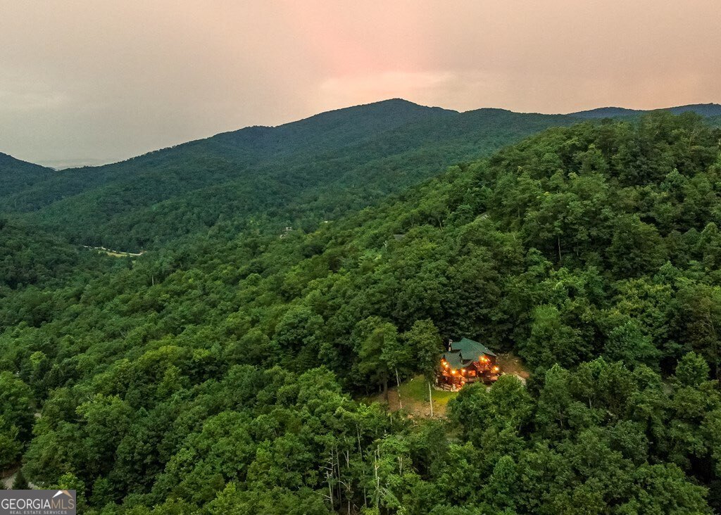 175 Cochise Road, Unit 19 Cherry Log, GA 30522 - Photo 88 of 89 a view of a lush green forest with houses in the back