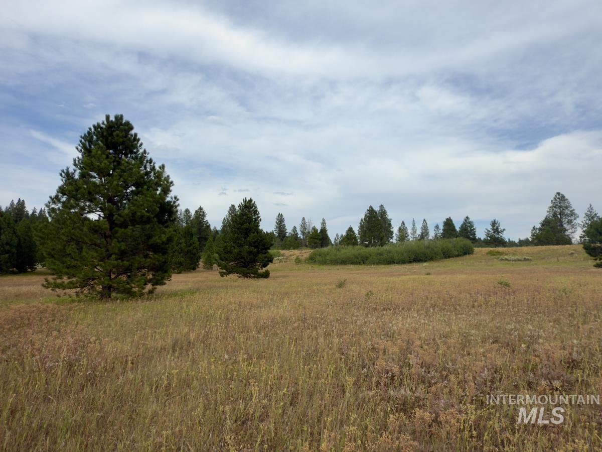 2 Joshua Drive Cascade, ID 83611 - Photo 11 of 17