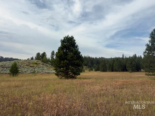 $225,000 | 2 Joshua Drive, Cascade, ID 83611