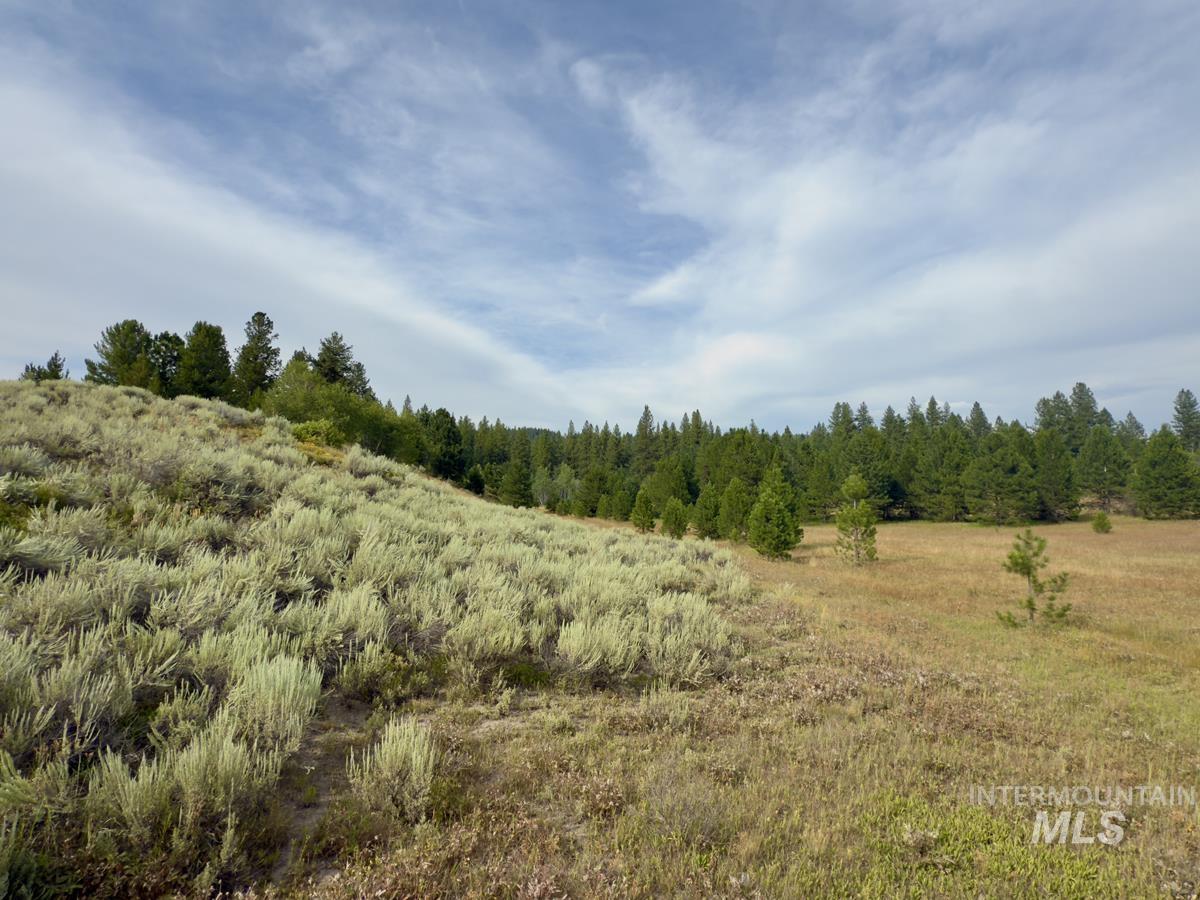 2 Joshua Drive Cascade, ID 83611 - Photo 2 of 17