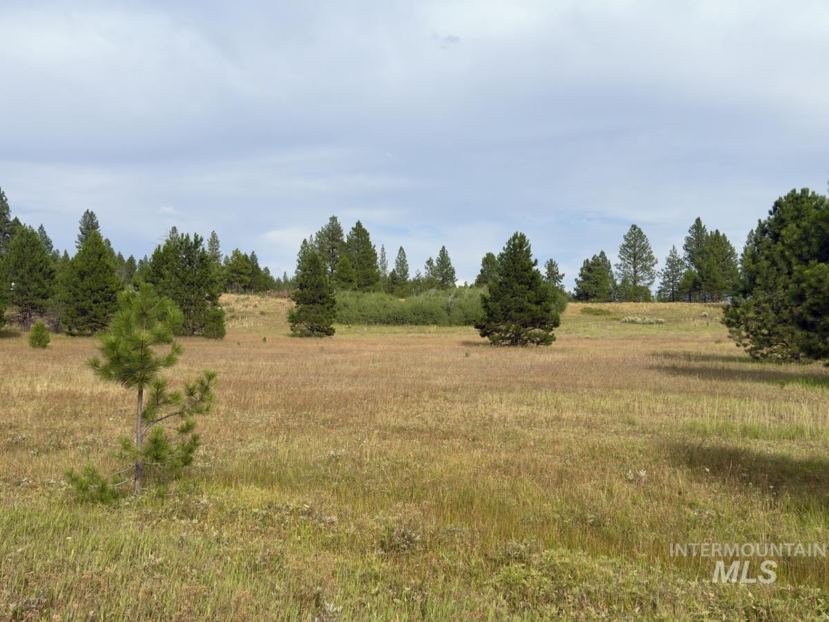 2 Joshua Drive Cascade, ID 83611 - Photo 7 of 17