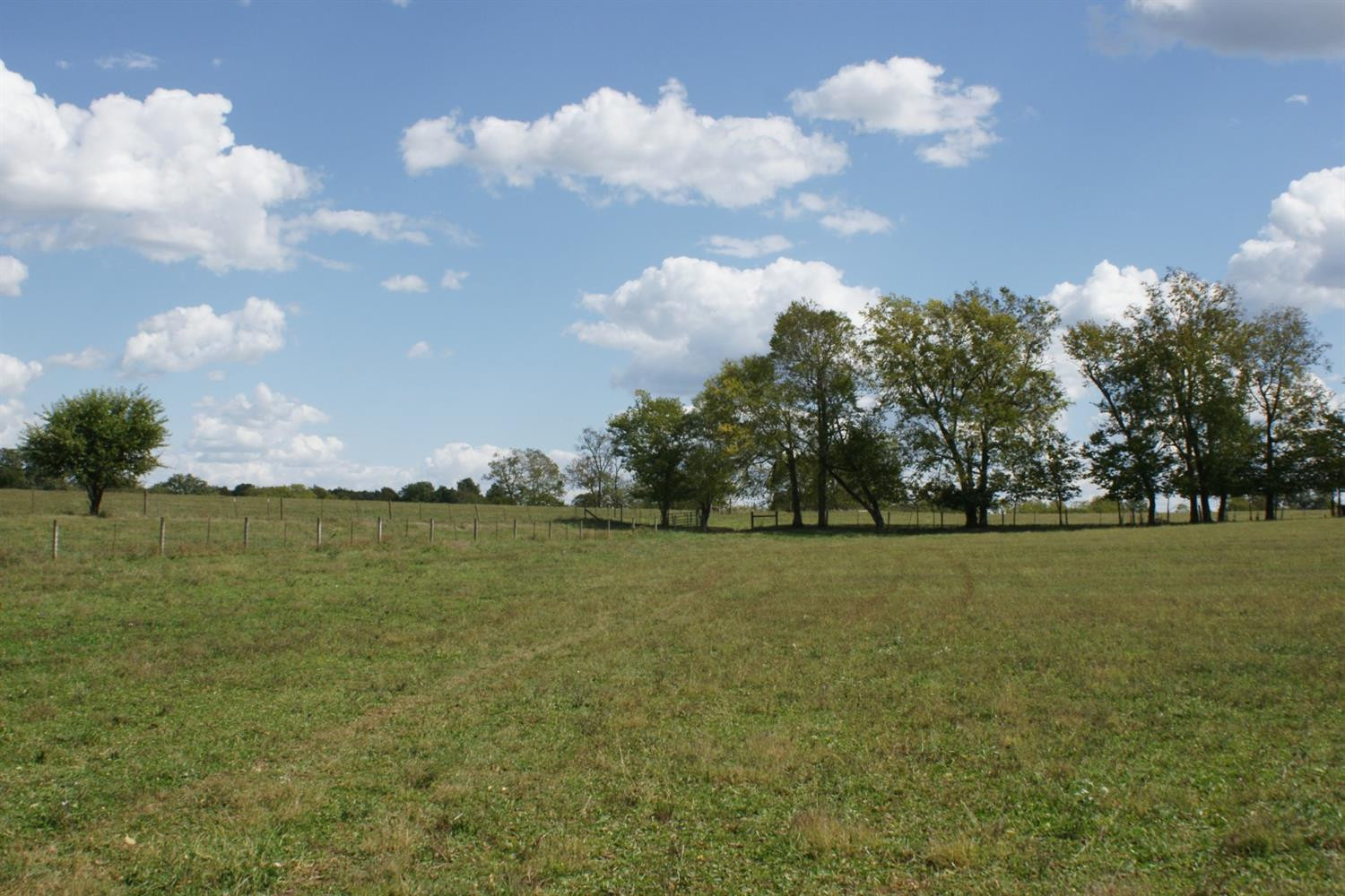 2152 Paynes Depot Road Lexington, KY 40511 - Photo 9 of 11 Photo 9