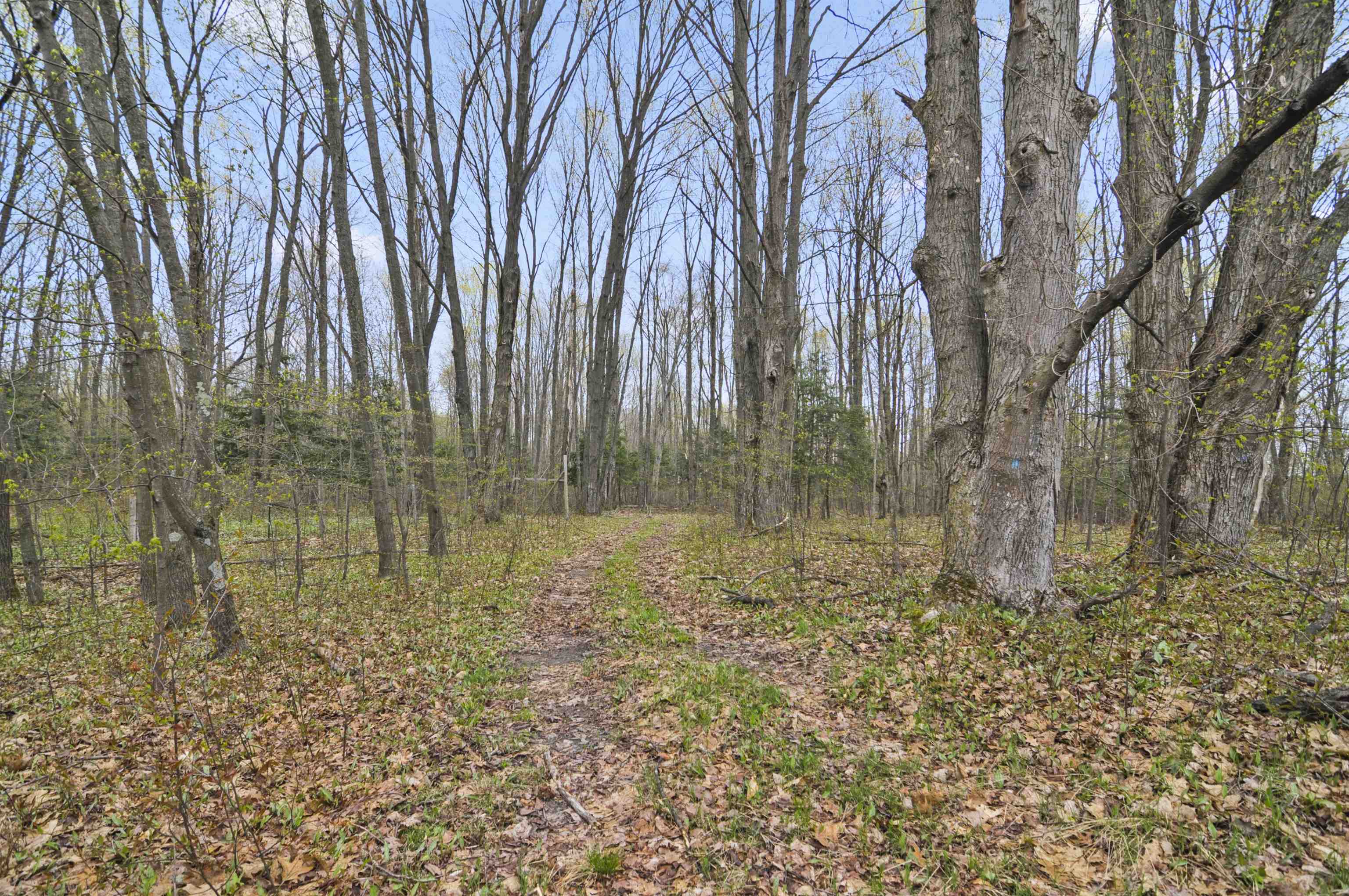 2561 East Johnson Road Lake City, MI 49651 - Photo 51 of 63