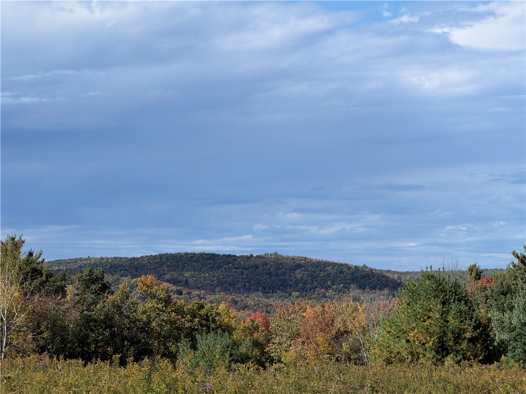 Hardnocks Road Unadilla, NY 13849 - Photo 2 of 11 Gallery Image 2