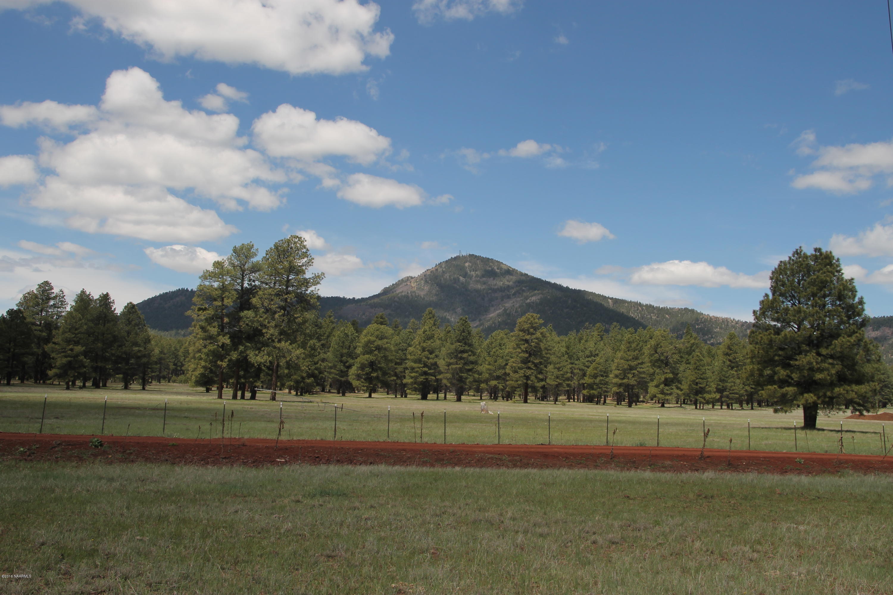 4169 South Bar Diamond Ranch Road Williams, AZ 86046 - Photo 11 of 41 IMG_3381