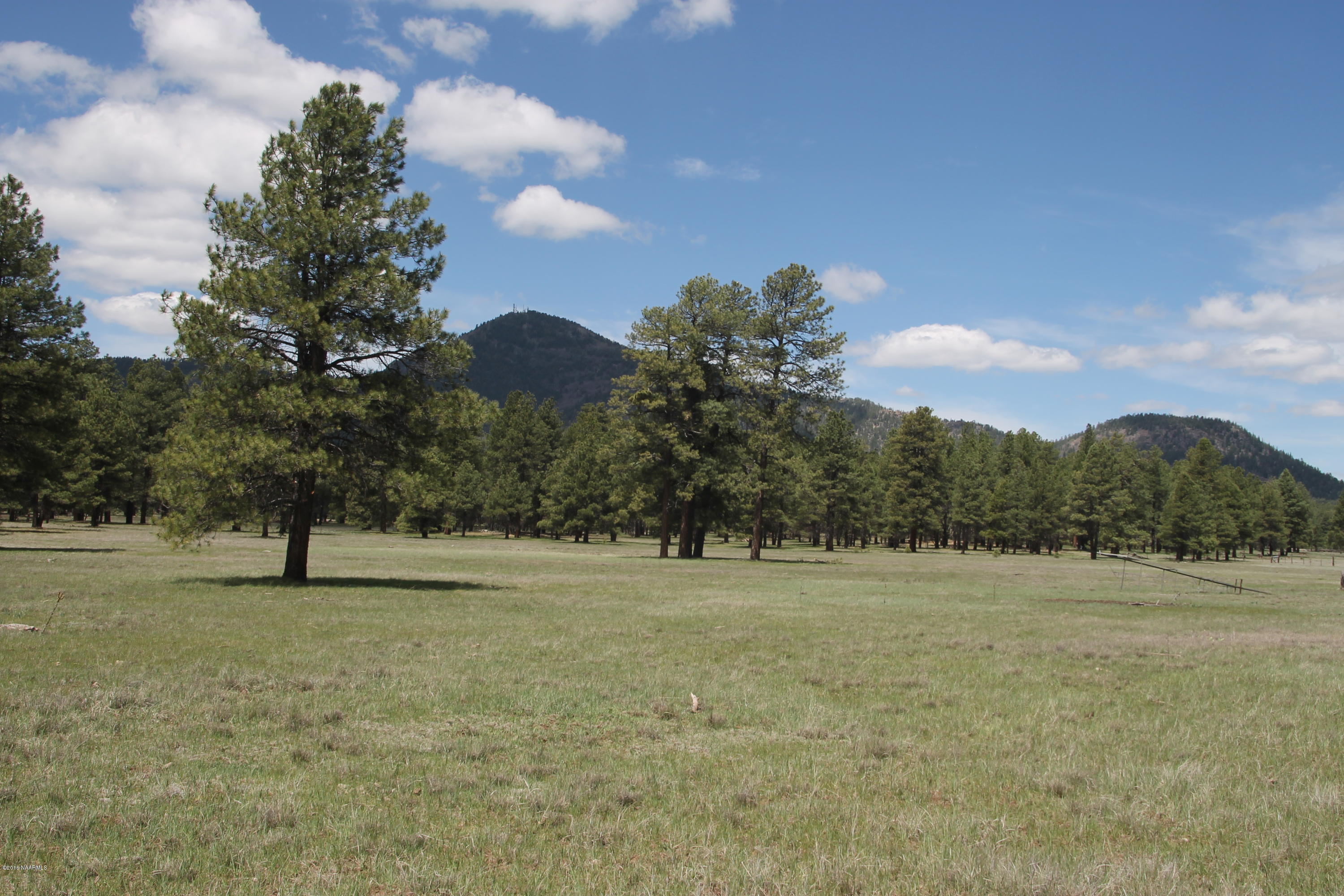 4169 South Bar Diamond Ranch Road Williams, AZ 86046 - Photo 12 of 41 IMG_3384