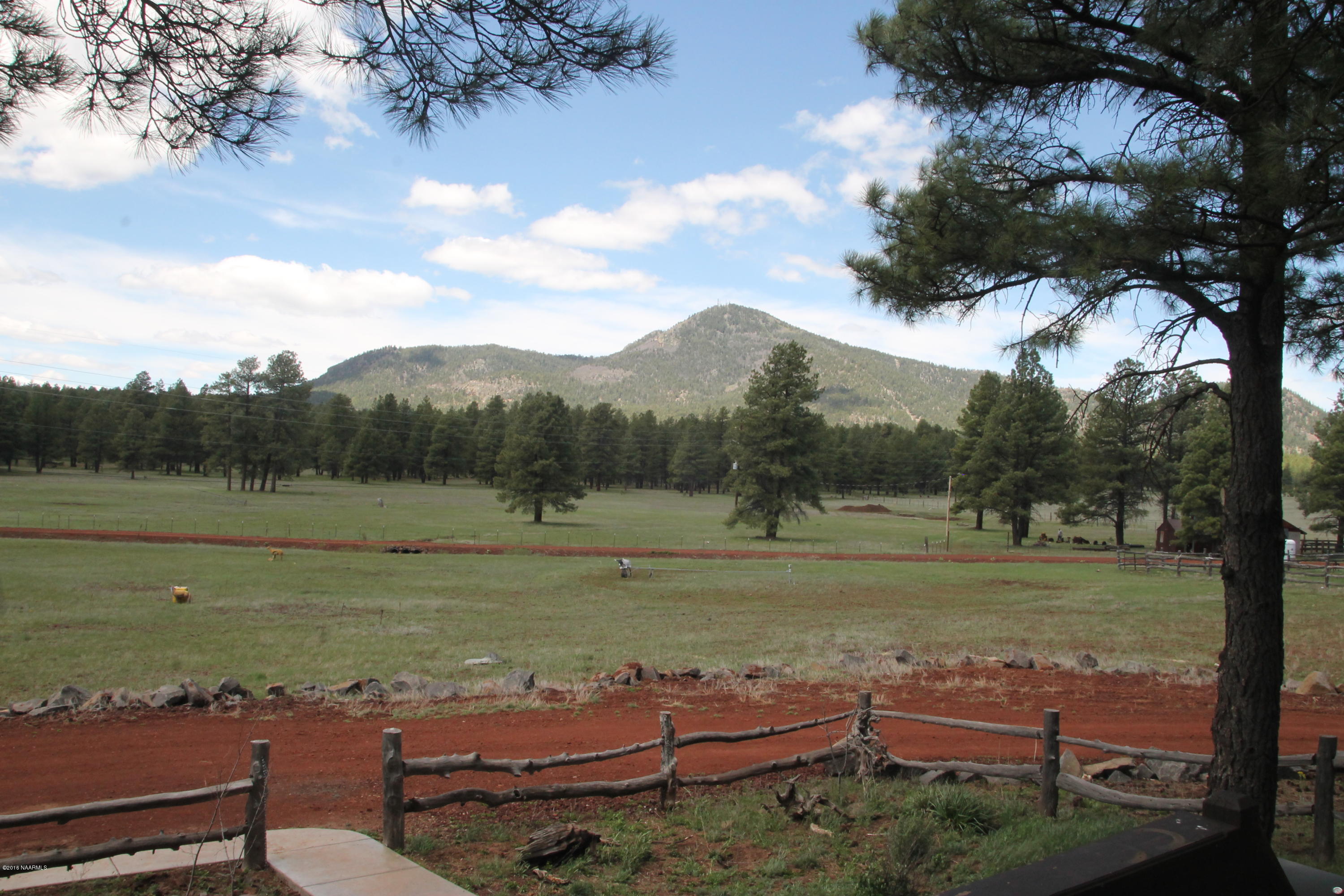 4169 South Bar Diamond Ranch Road Williams, AZ 86046 - Photo 13 of 41 IMG_3394