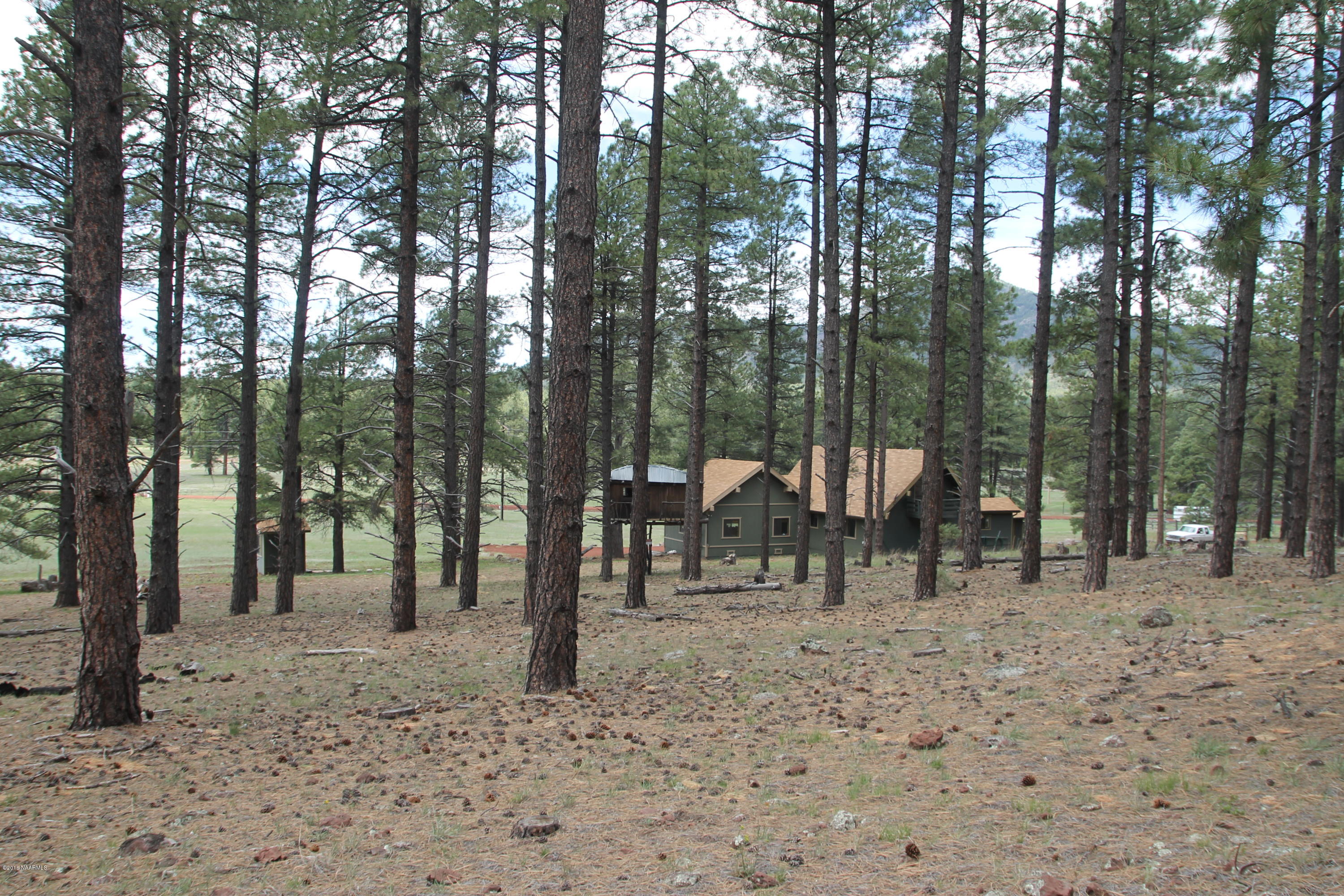 4169 South Bar Diamond Ranch Road Williams, AZ 86046 - Photo 16 of 41 IMG_3399