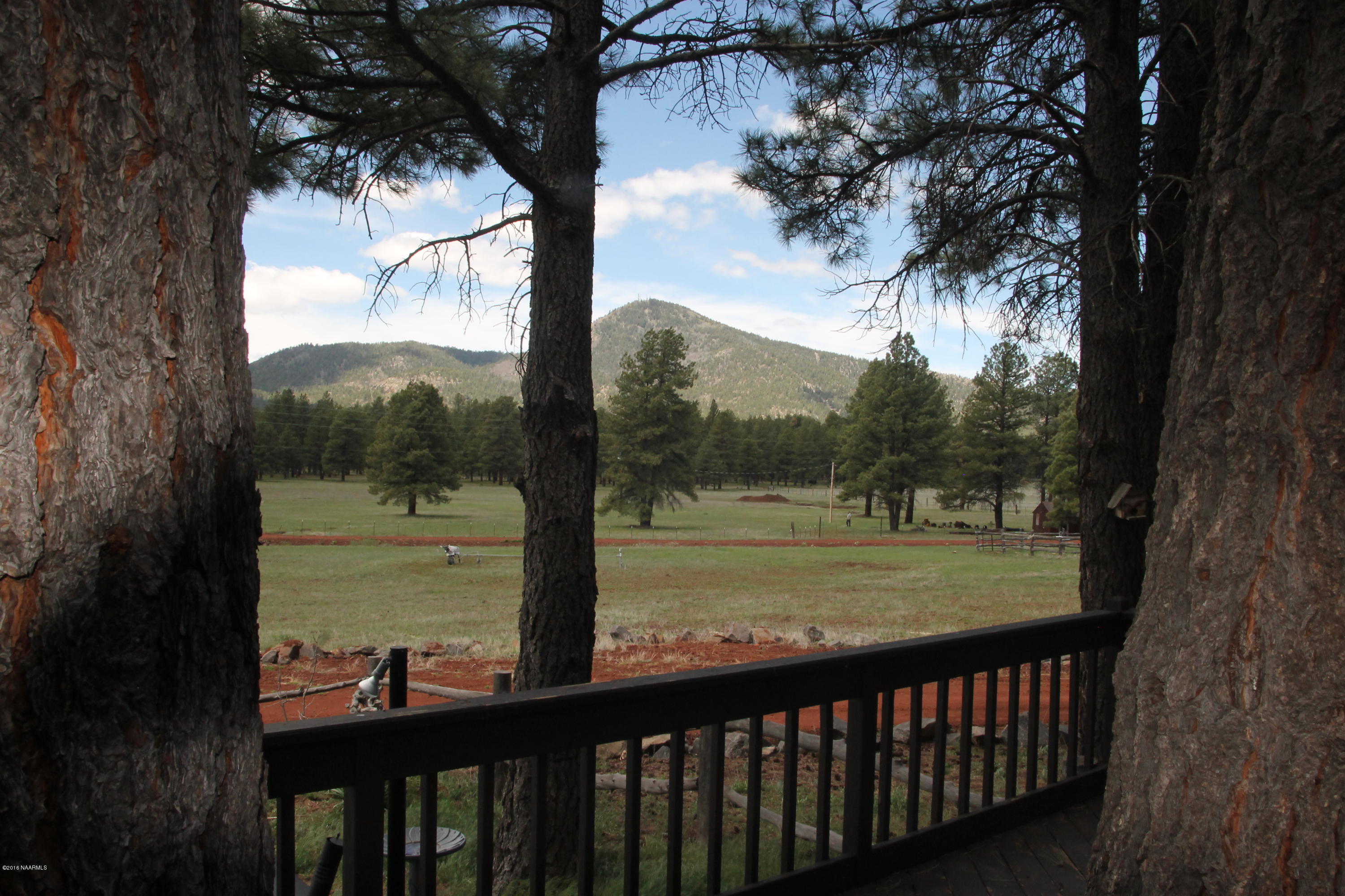 4169 South Bar Diamond Ranch Road Williams, AZ 86046 - Photo 18 of 41 IMG_3395