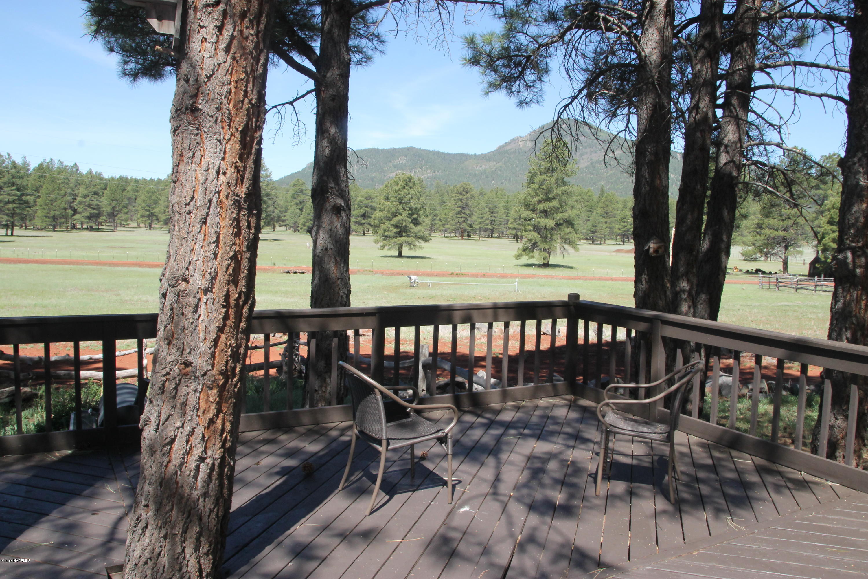 4169 South Bar Diamond Ranch Road Williams, AZ 86046 - Photo 40 of 41 IMG_3408