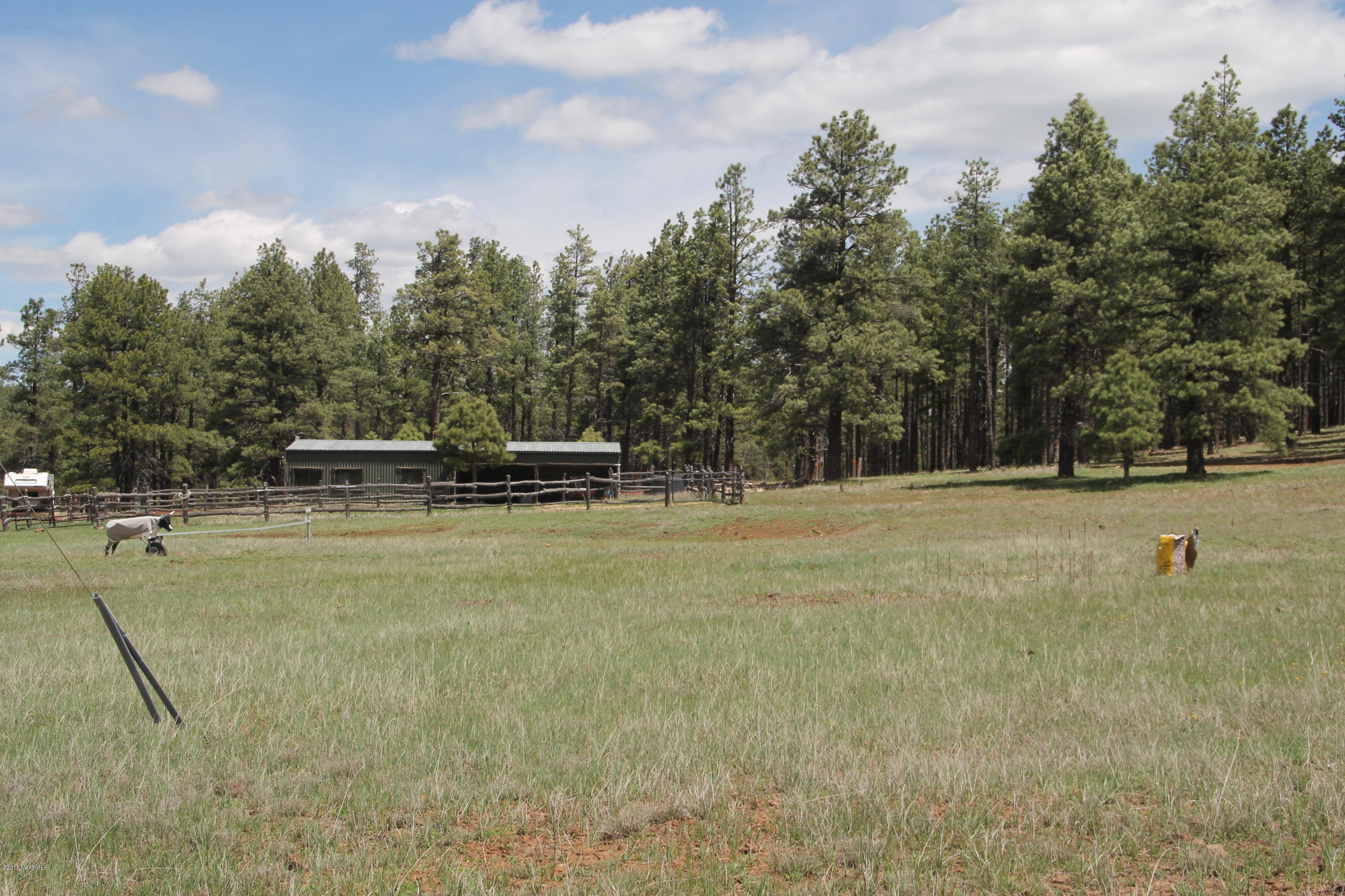 4169 South Bar Diamond Ranch Road Williams, AZ 86046 - Photo 7 of 41 IMG_3379
