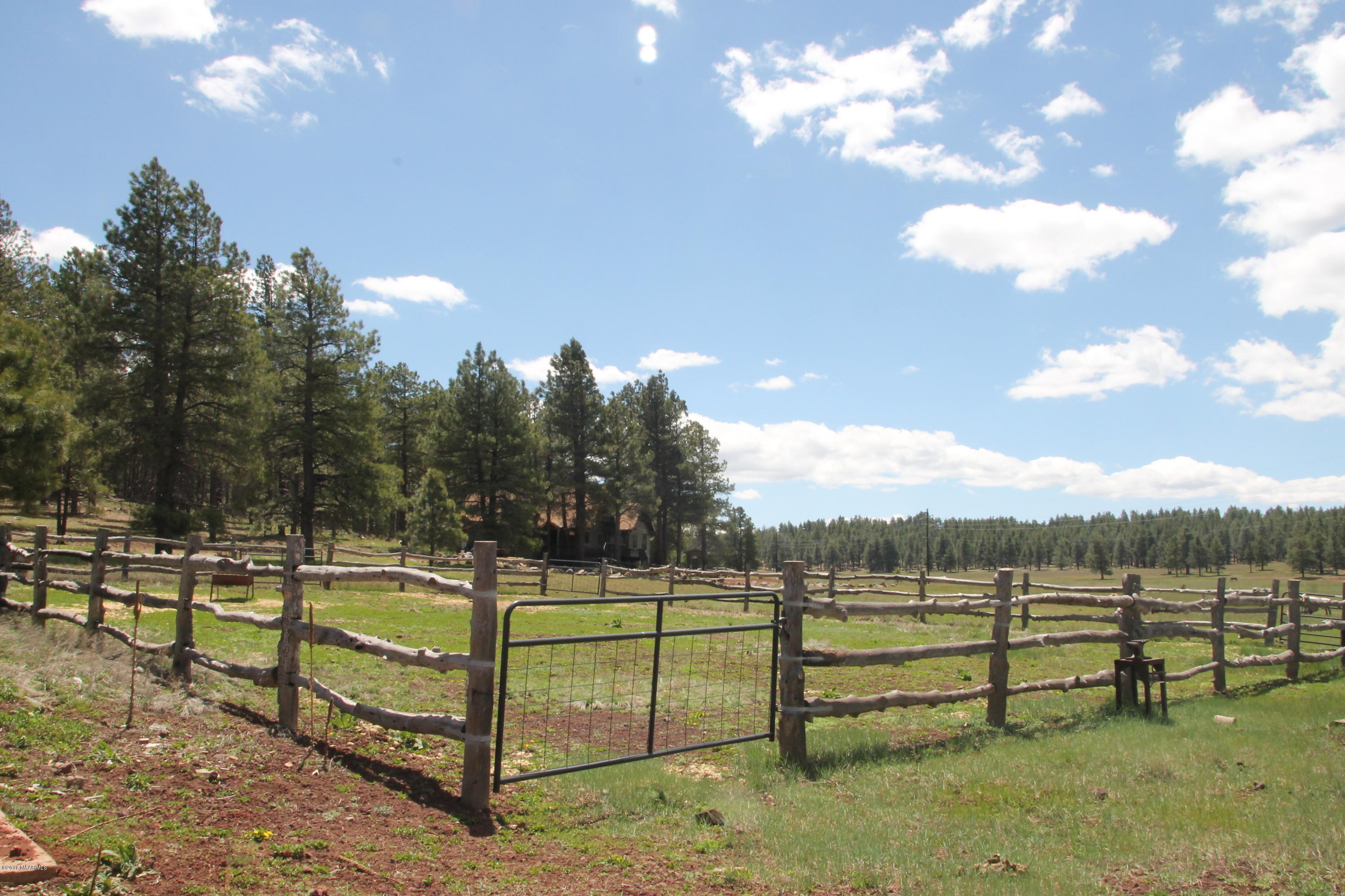 4169 South Bar Diamond Ranch Road Williams, AZ 86046 - Photo 10 of 41 IMG_3389