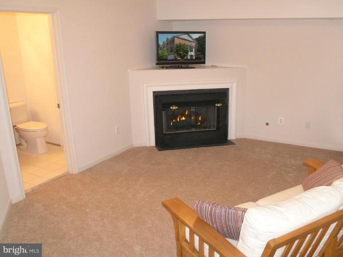 11479 Waterhaven Court Reston, VA 20190 - Photo 7 of 30 Recreation Room