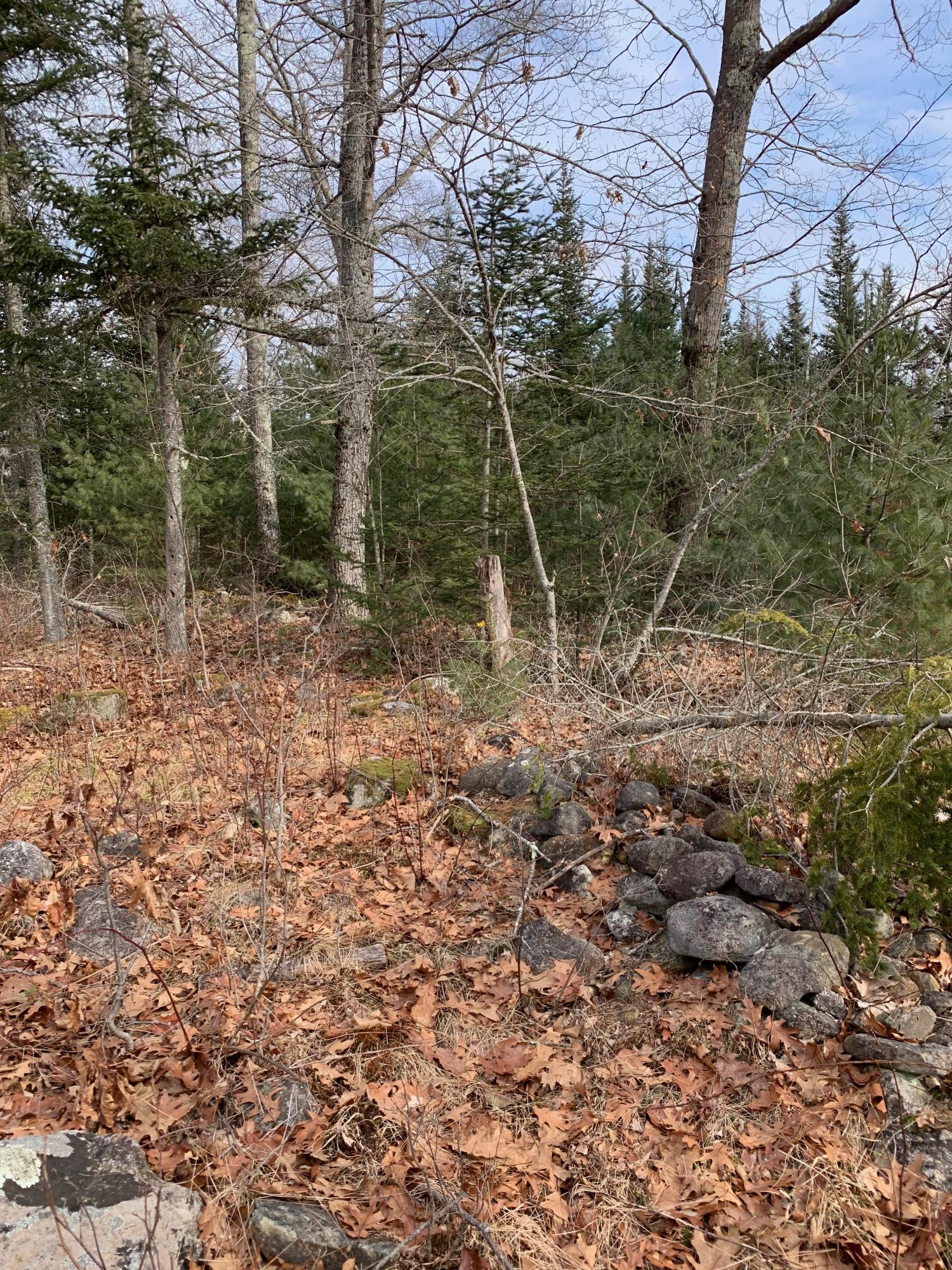 321 Highland Road Warren, ME 04864 - Photo 6 of 11 IMG_2339