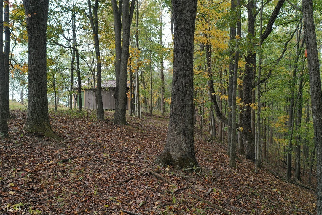 731 Riffle Run Road Grantsville, WV 26147 - Photo 20 of 30