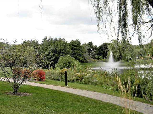 700 East Algonquin Road, Unit 2409 Schaumburg, IL 60173 - Photo 21 of 22 a view of a garden with a tree