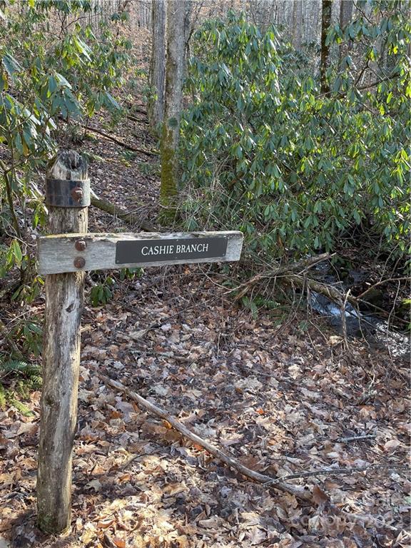 2919 Preserve Road, Unit 103 Sylva, NC 28779 - Photo 2 of 18 a view of a yard with large trees