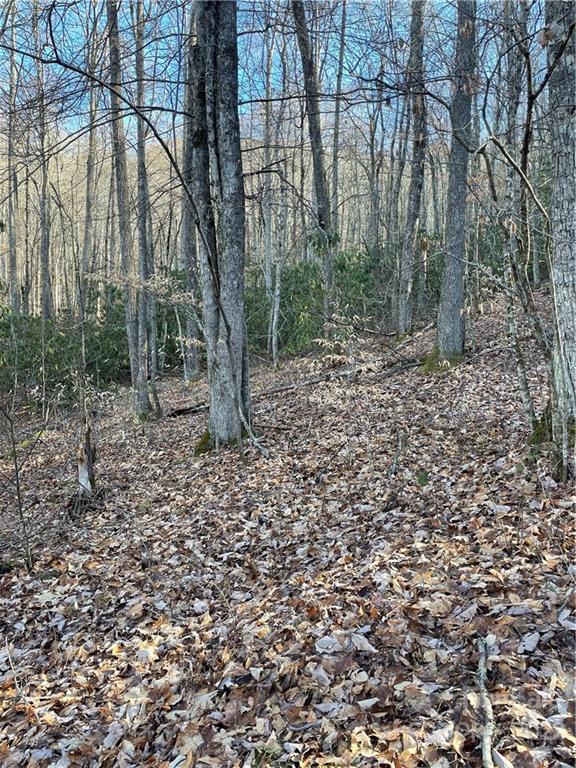 2919 Preserve Road, Unit 103 Sylva, NC 28779 - Photo 3 of 18 a backyard of a house with lots of green space