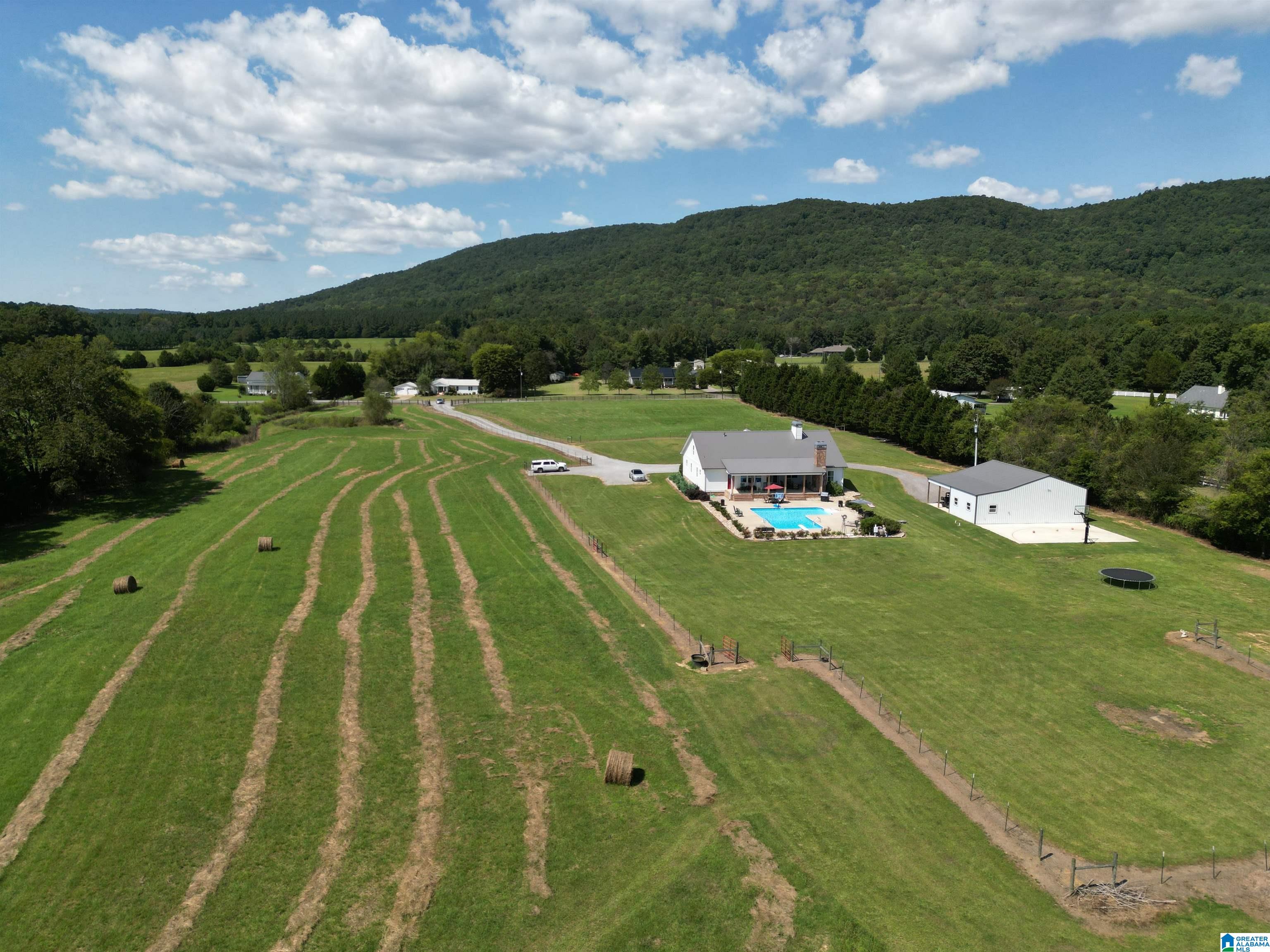 2950 Washington Valley Road Springville, AL 35146 - Photo 43 of 46