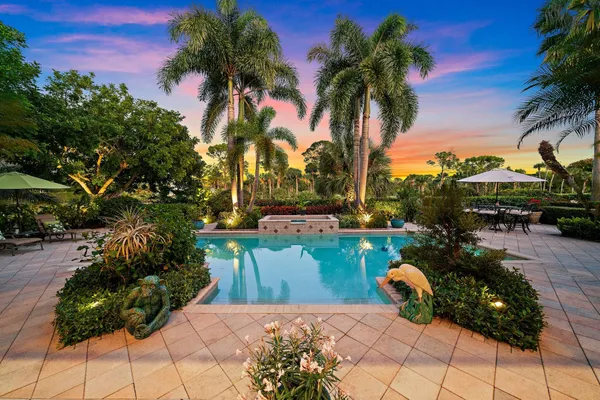 a view of a patio with couches and a potted plant on a table