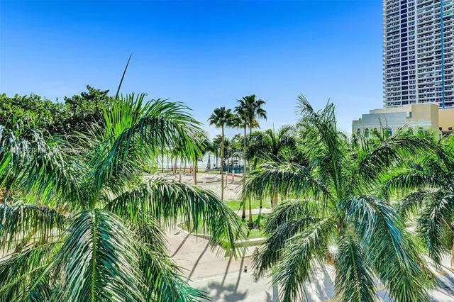 a lake view with a palm tree