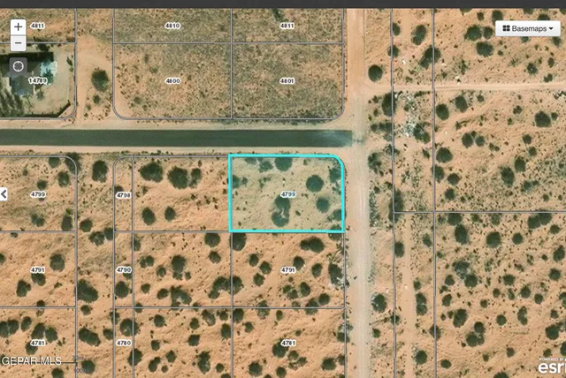 a view of beach and ocean