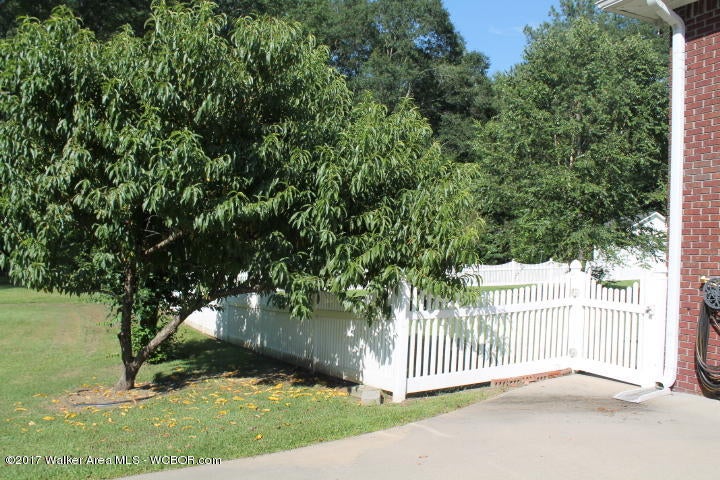 317 Summerville Road Jasper, AL 35504 - Photo 40 of 42 Gallery Image 40