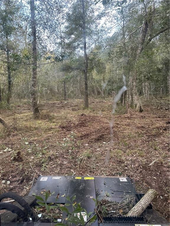 Tbd West Dutch Road Franklinton, LA 70438 - Photo 2 of 6 Gallery Image 2