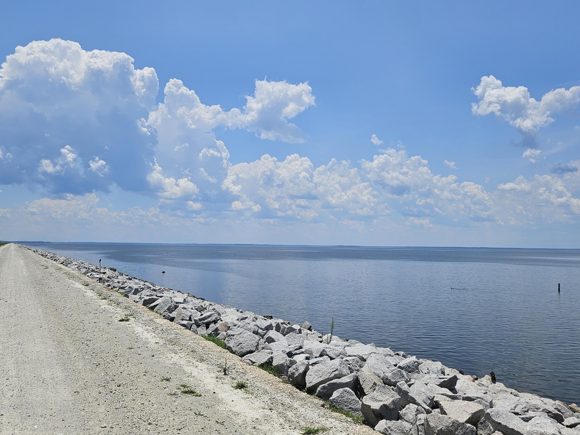 1026 Radius Street Manning, SC 29102 - Photo 48 of 53 LAKE MARION