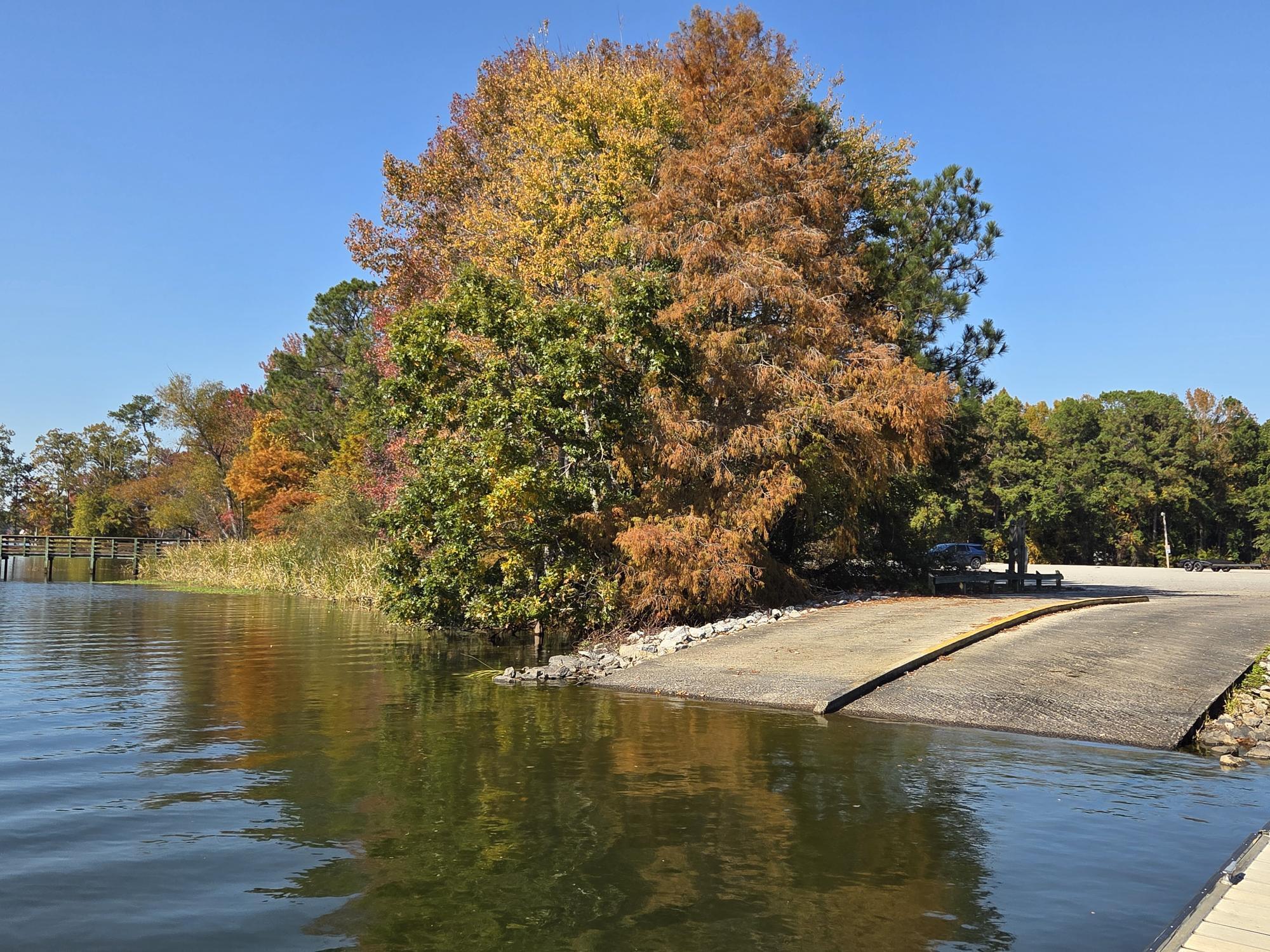 1026 Radius Street Manning, SC 29102 - Photo 50 of 53 C ALEX HARVIN, III