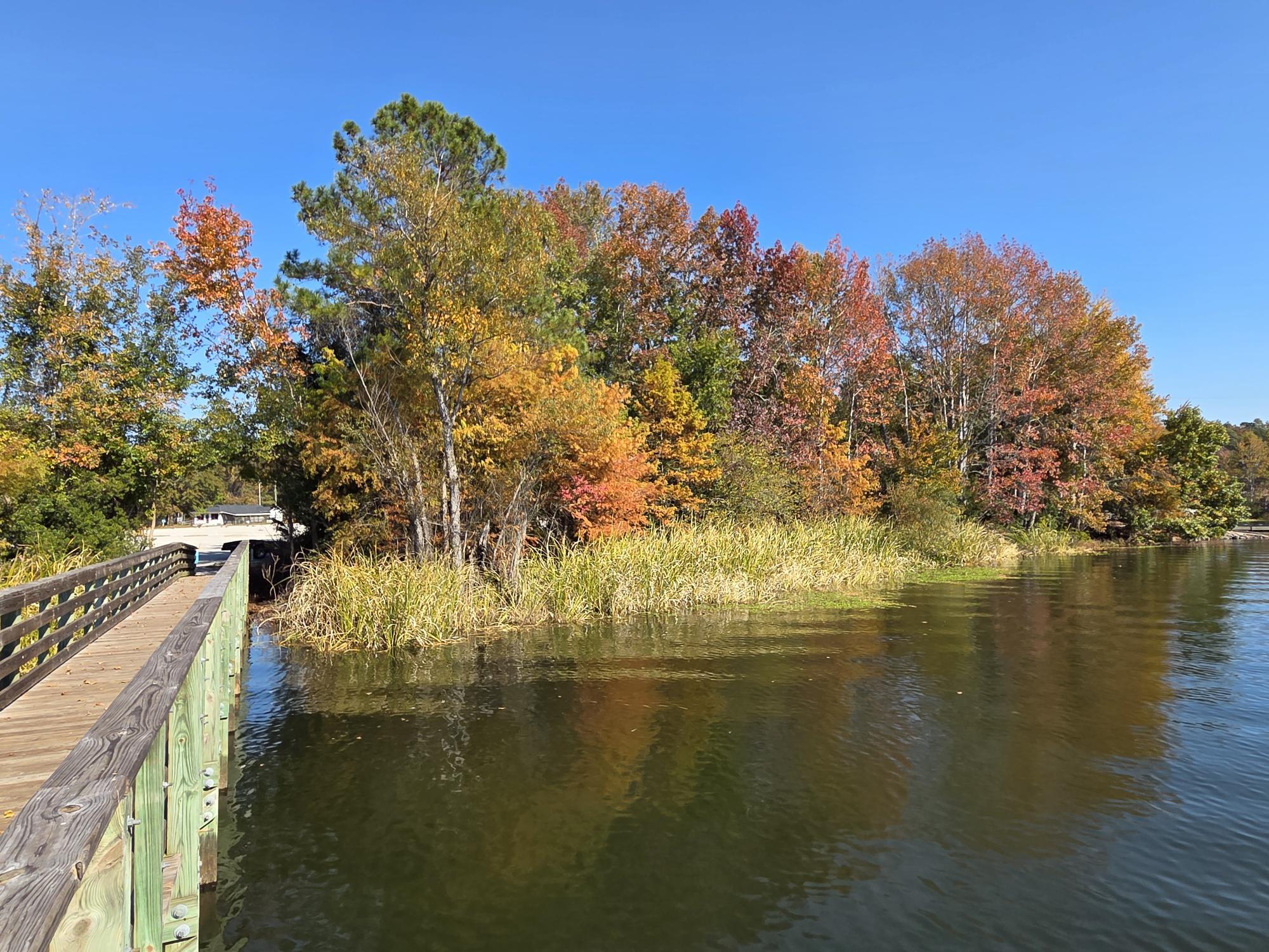 1026 Radius Street Manning, SC 29102 - Photo 52 of 53 PUBLIC DOCK CLOSE BY