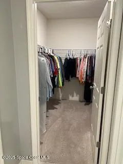 a view of walk in closet with clothes