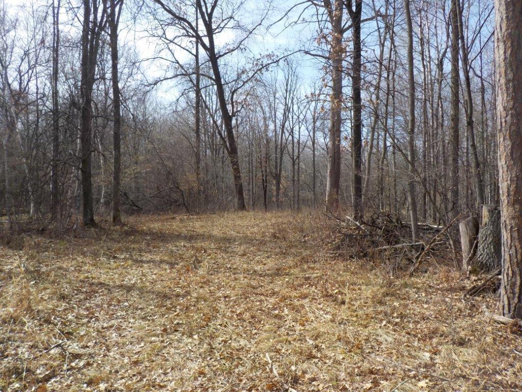 0 Paulich Road Frederic, WI 54837 - Photo 1 of 1